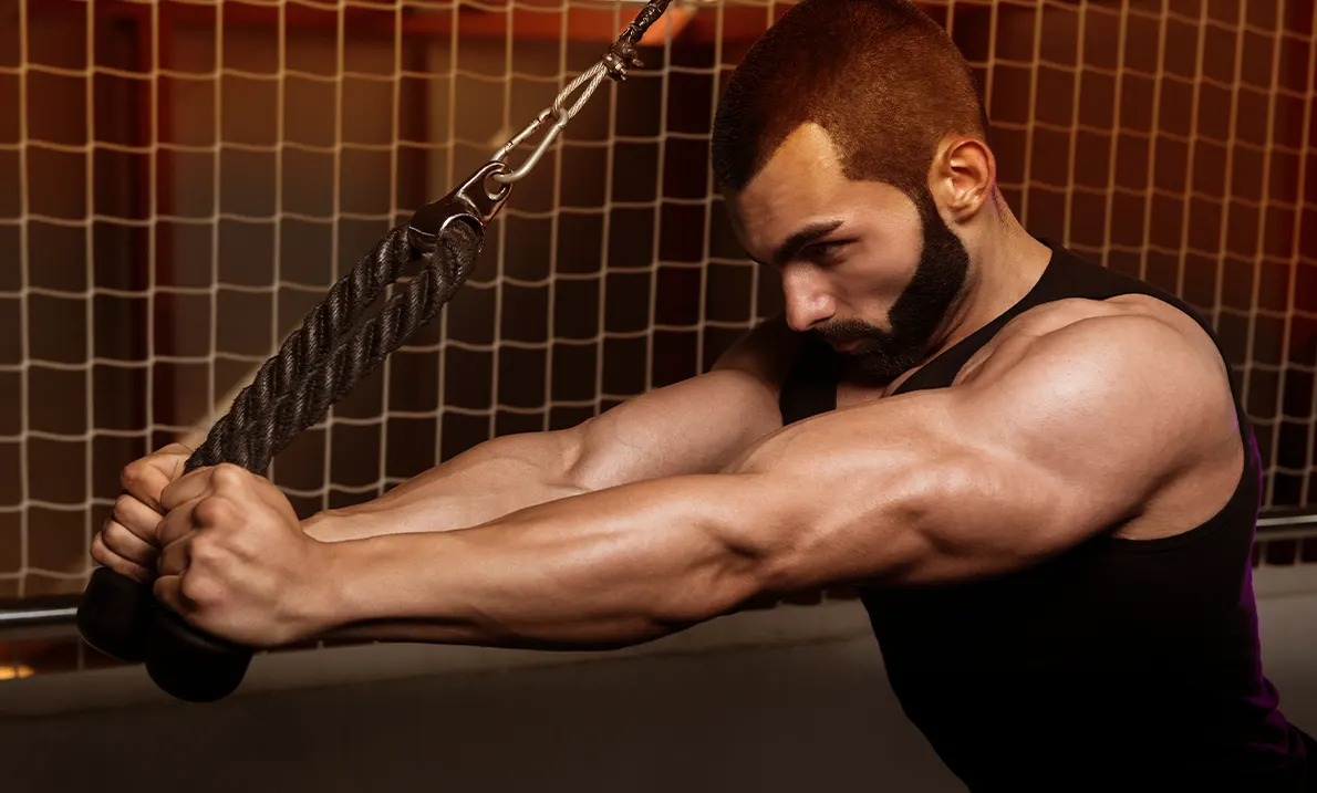Forearm Workouts For Muscle And Strength